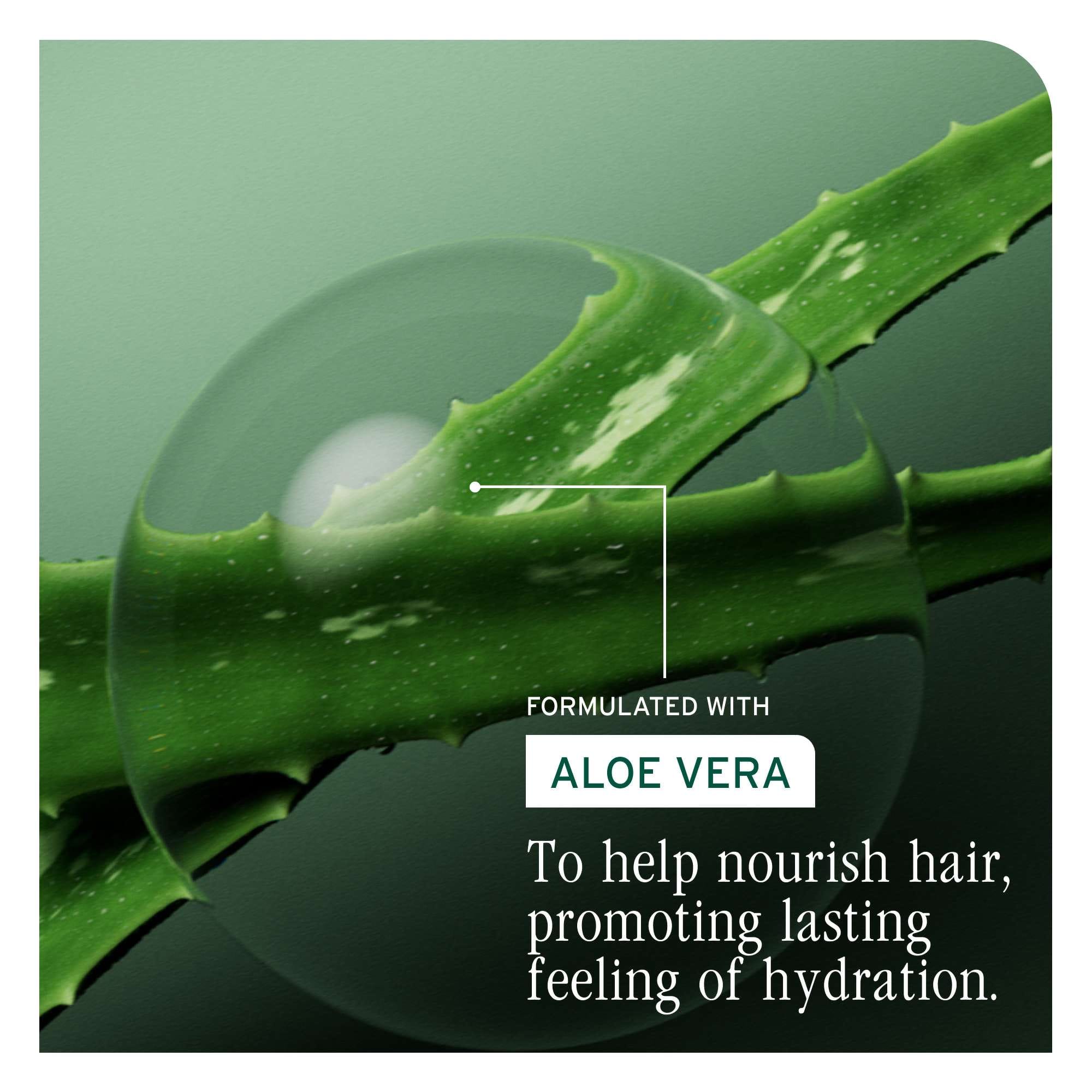 Biolage HydraSource Shampoo 400ml