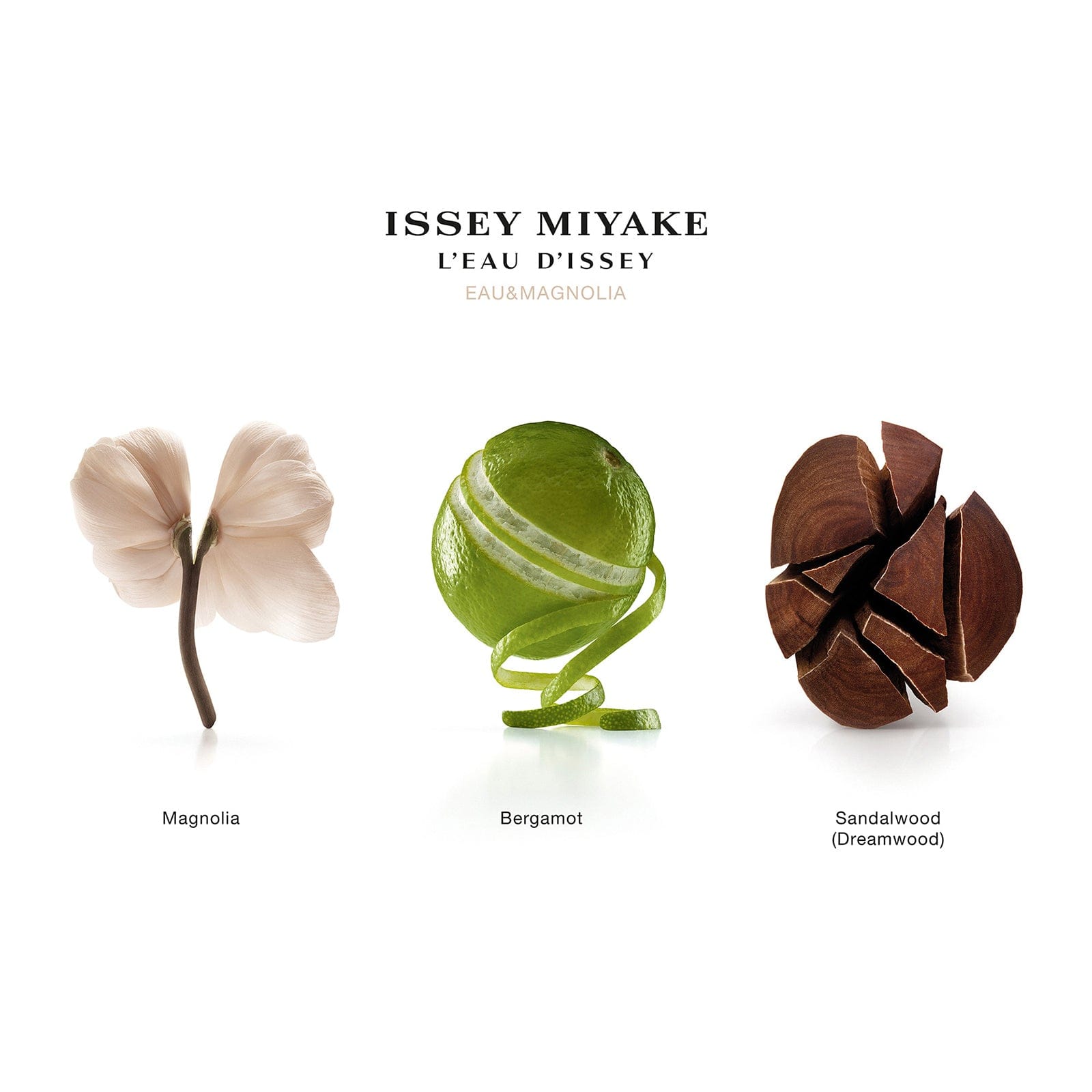 Issey Miyake L'Eau d'Issey Eau & Magnolia Eau de Toilette Intense Spray 50ml