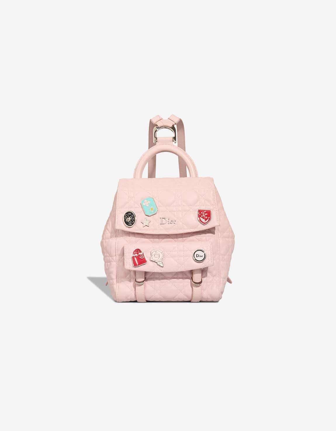 Dior Backpack Small Lamb Pink