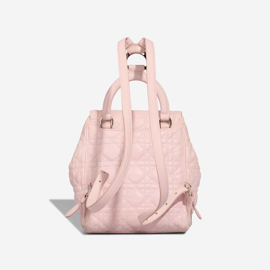 Dior Backpack Small Lamb Pink