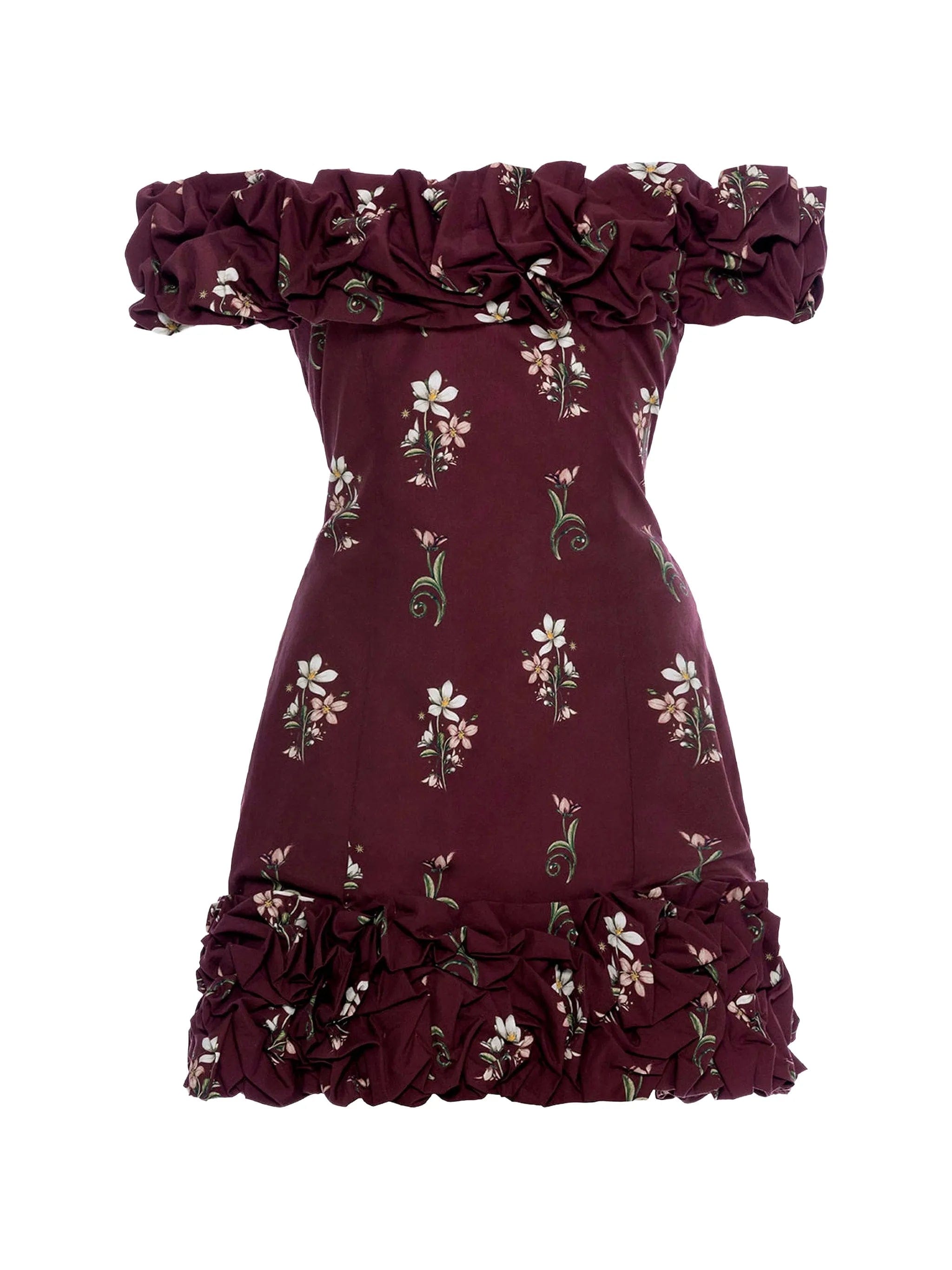 Agua By Agua Bendita Garden Night ruffled floral-print mini dress