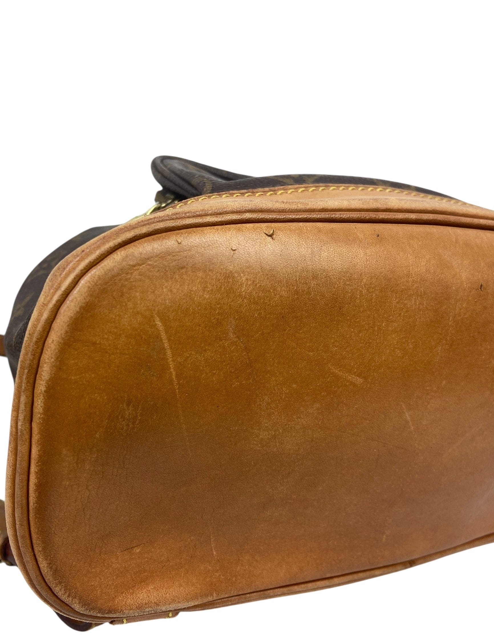 ASC Resale Louis Vuitton Monogram Montsouris MM Backpack