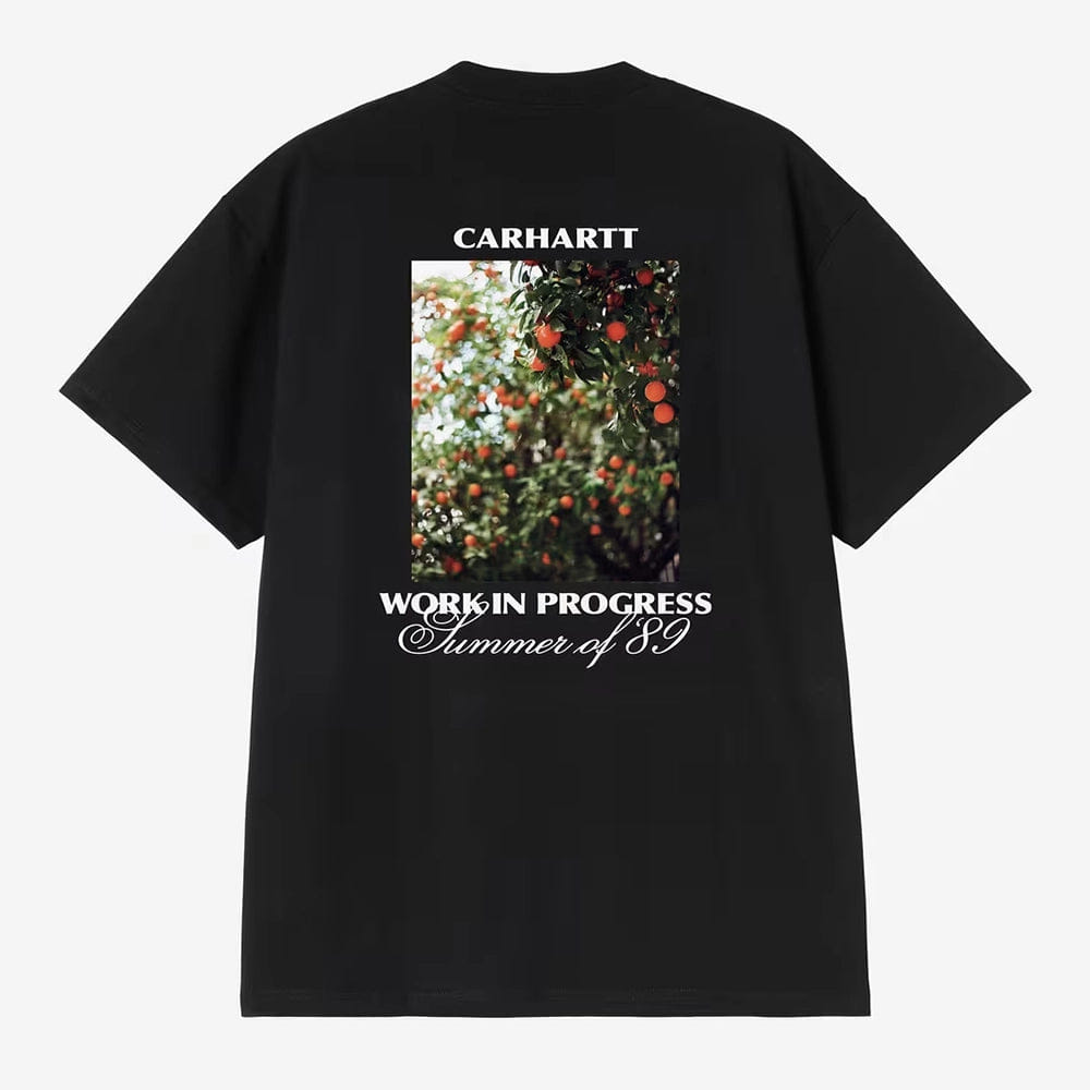Carhartt Work in Progress Carhartt WIP S/S Warm Views Grafik T-Shirt – Black