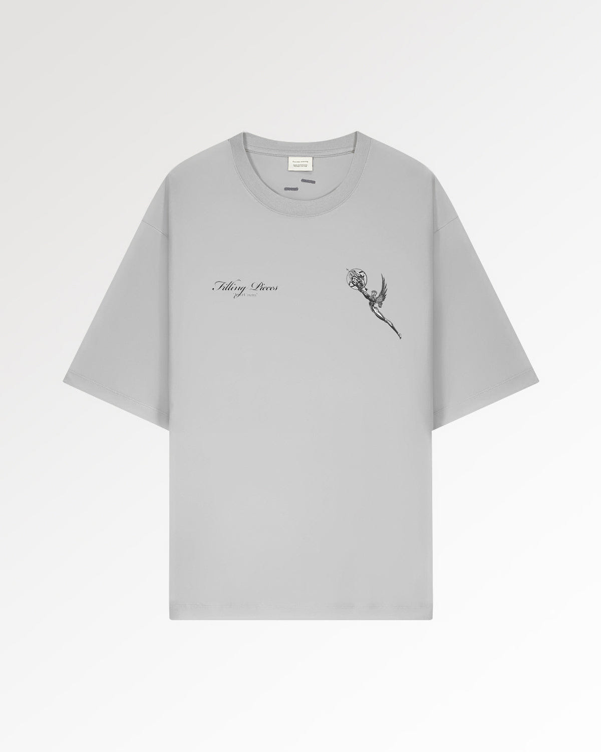 Trend Maven T-Shirt Boxy Chrome Trophy Antarctica