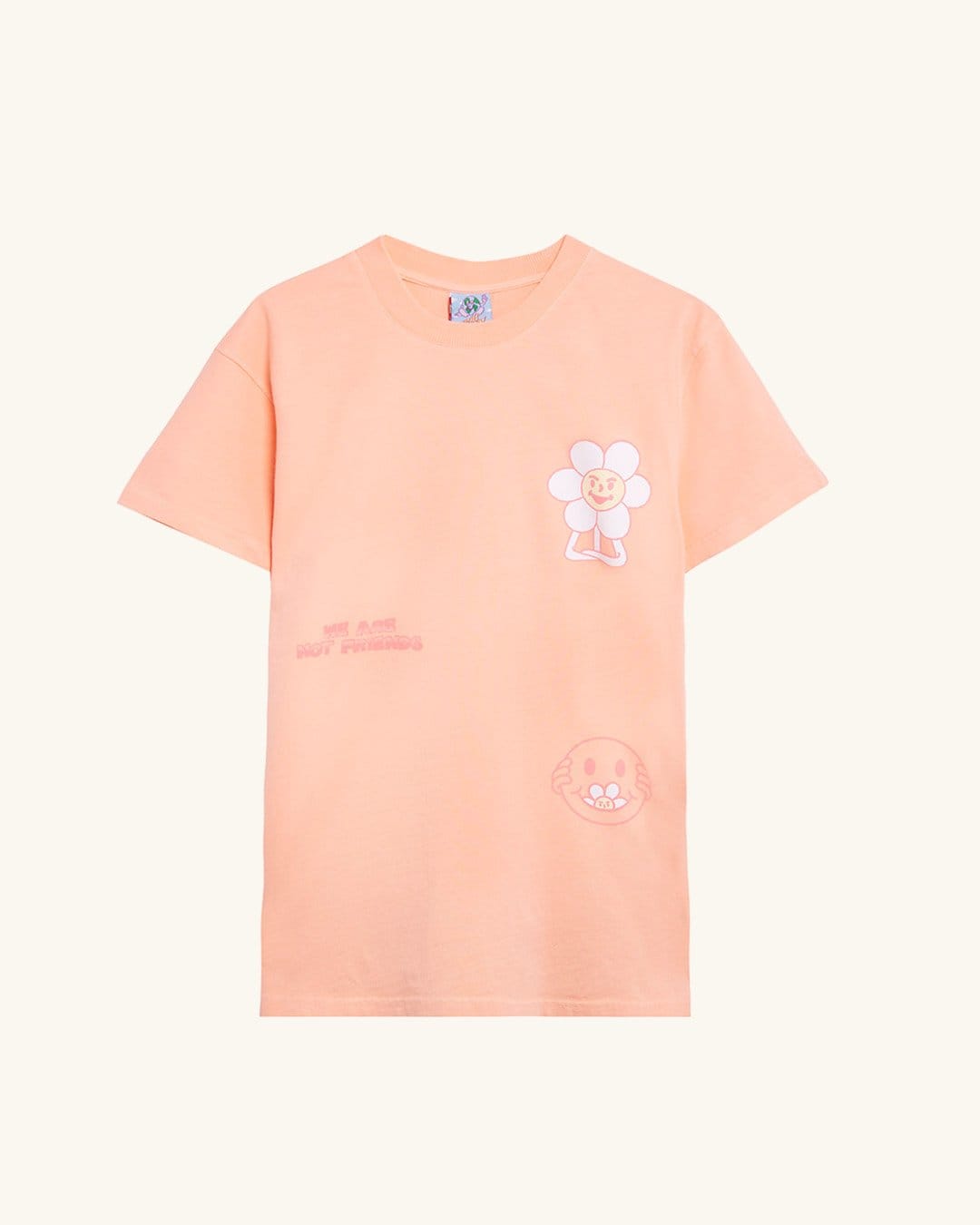 WE ARE NOT FRIENDS Fall from the Sky T-shirt