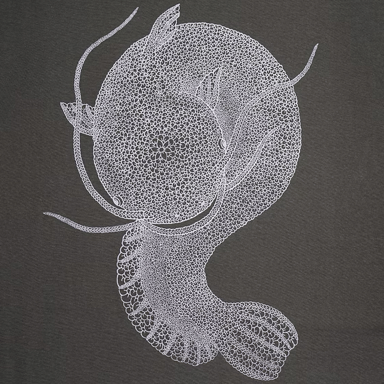 Timescan Namazu T-Shirt Dark Grey