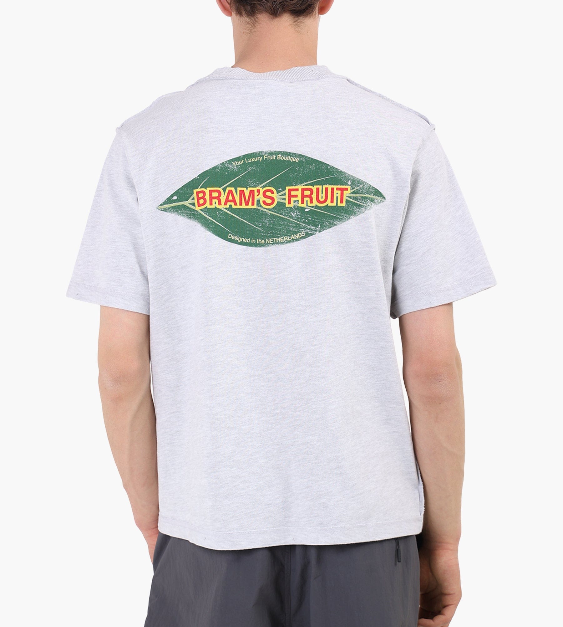Bram's Fruit Distressed Leaf T-shirt Grey Melange