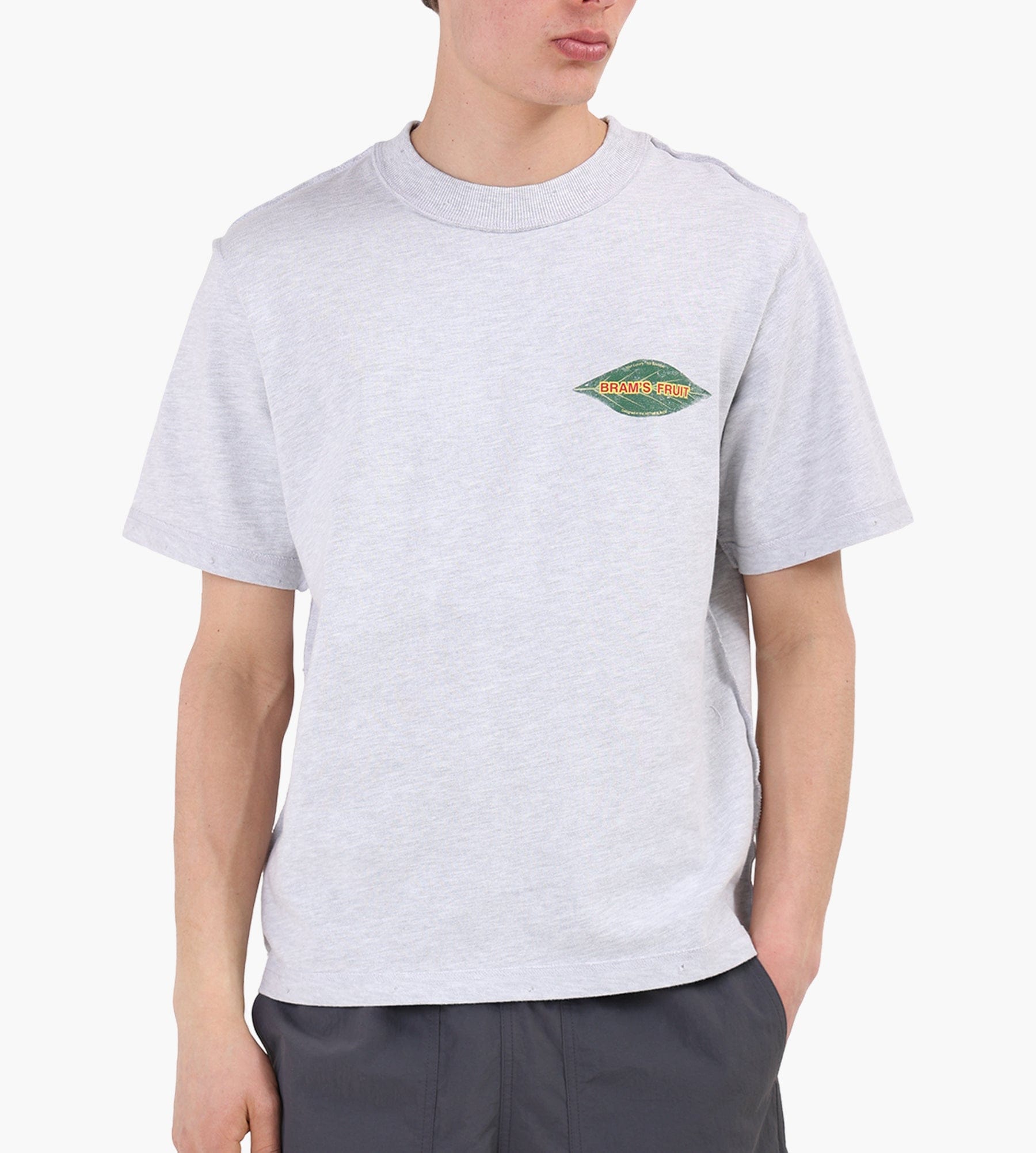 Bram's Fruit Distressed Leaf T-shirt Grey Melange