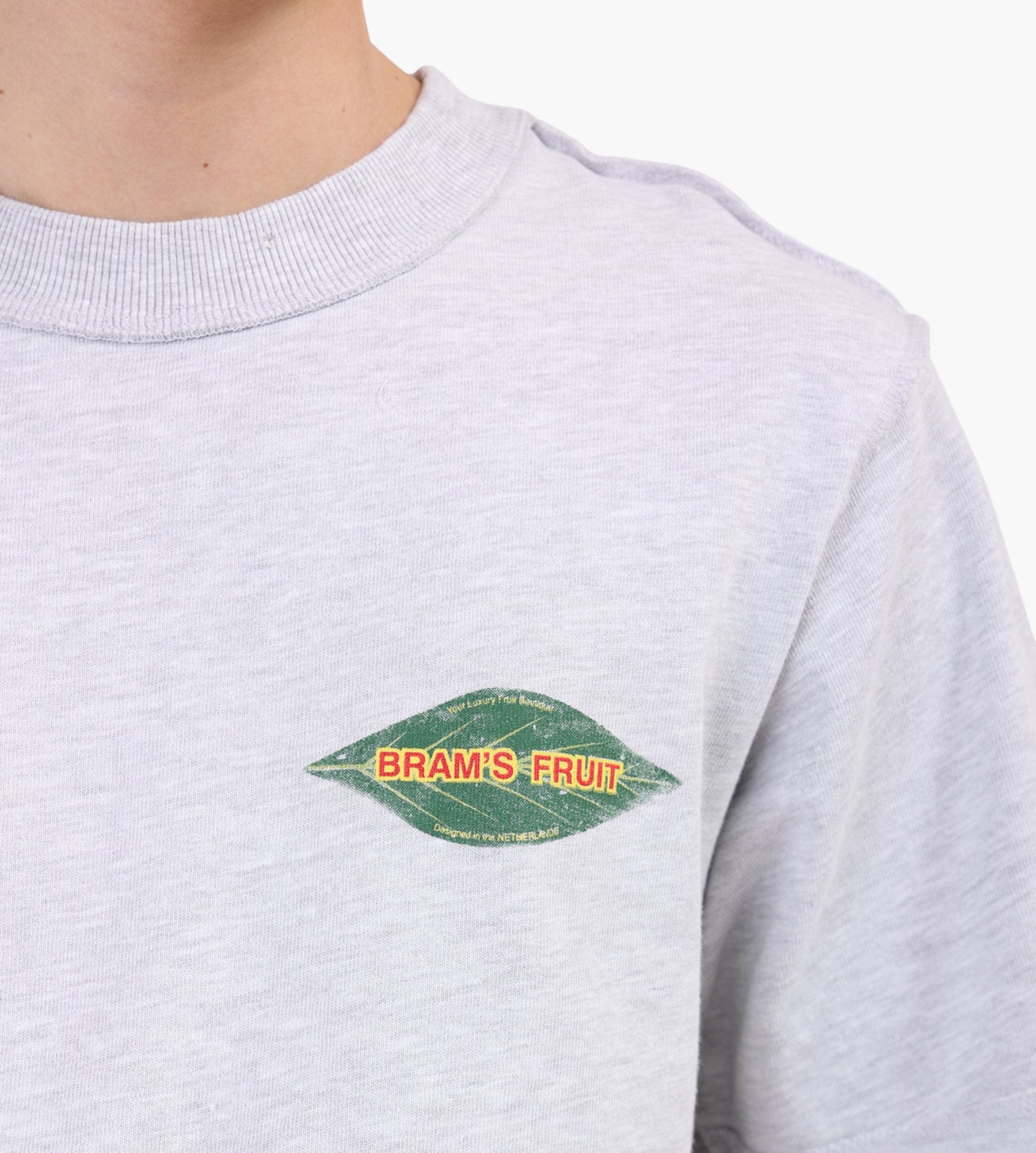 Bram's Fruit Distressed Leaf T-shirt Grey Melange