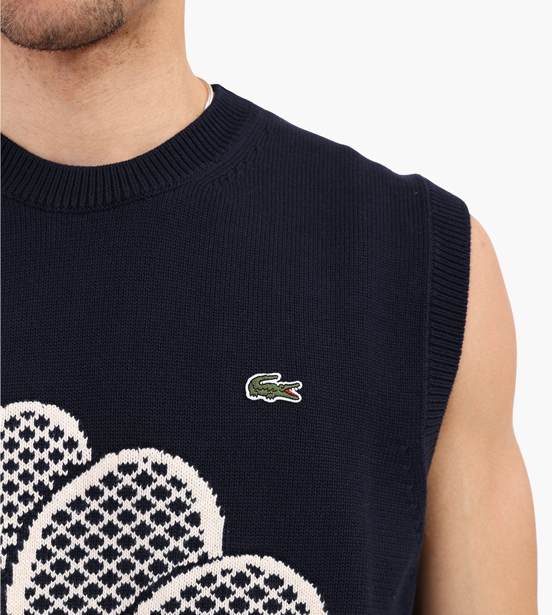 Lacoste 1HA1 Sweater Blackbird Powder
