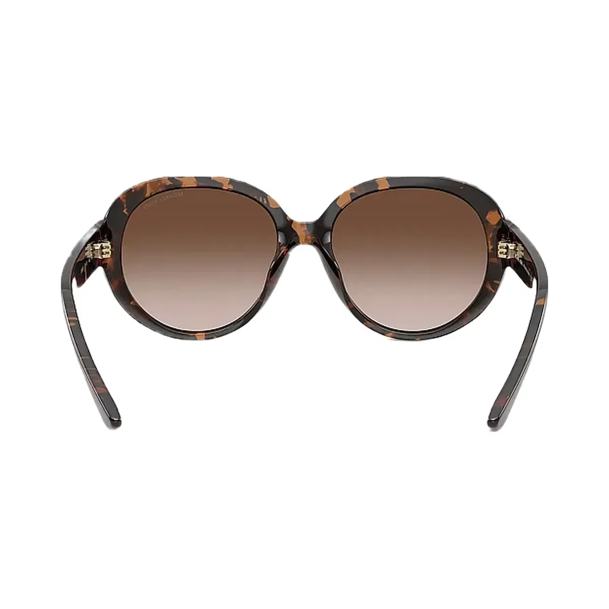 Michael Kors Aquinnah Sunglasses Dark Tortoise