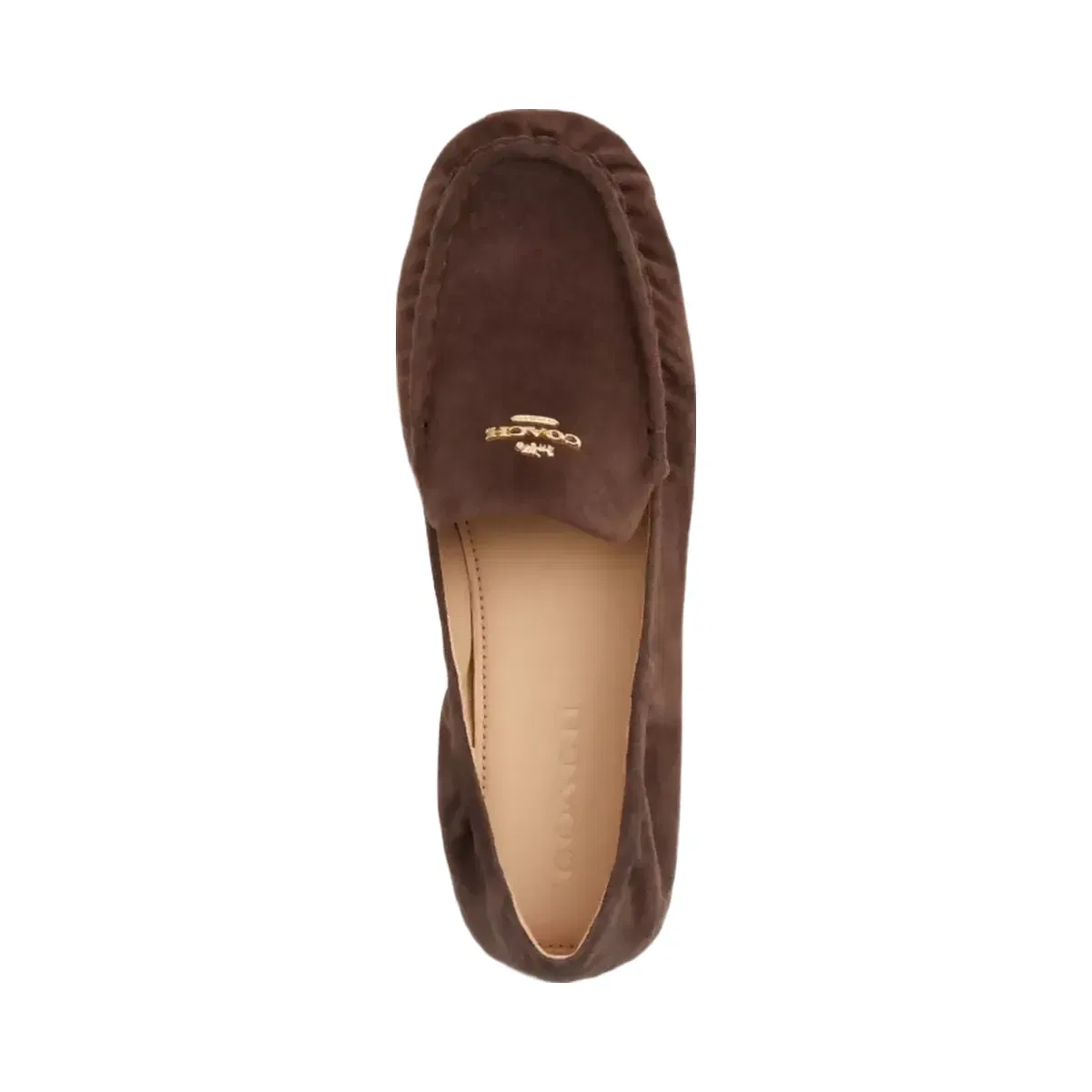 Coach Phoebe Soft Loafer in Maple