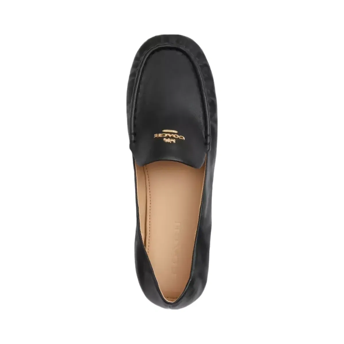 Coach Phoebe Soft Loafer in Black