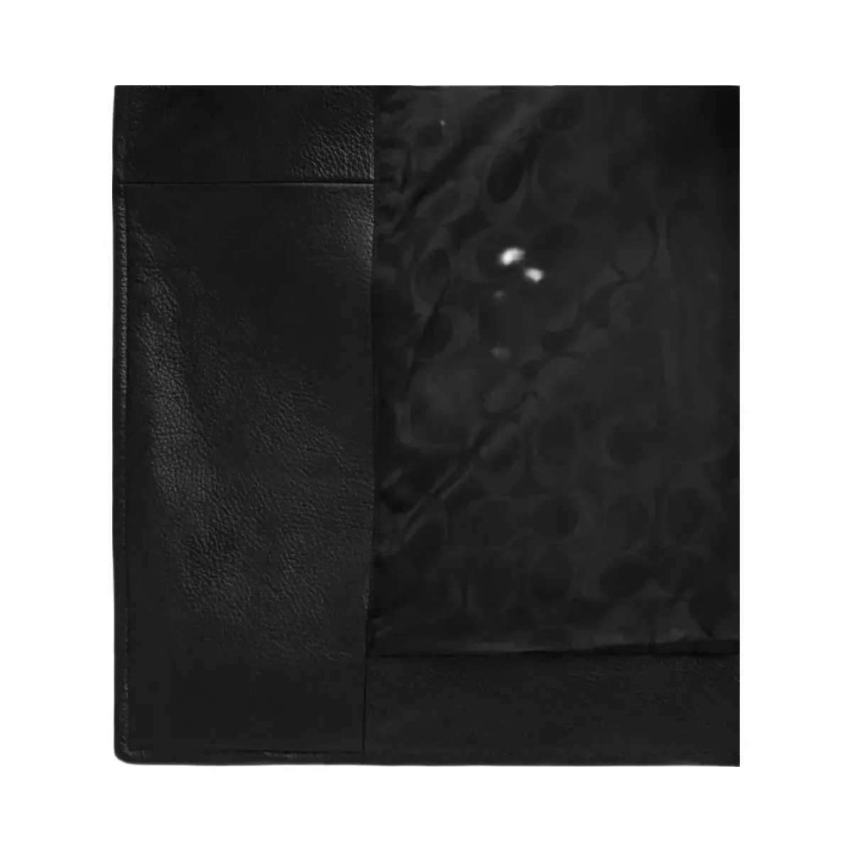 Coach Moto Jacket in Black