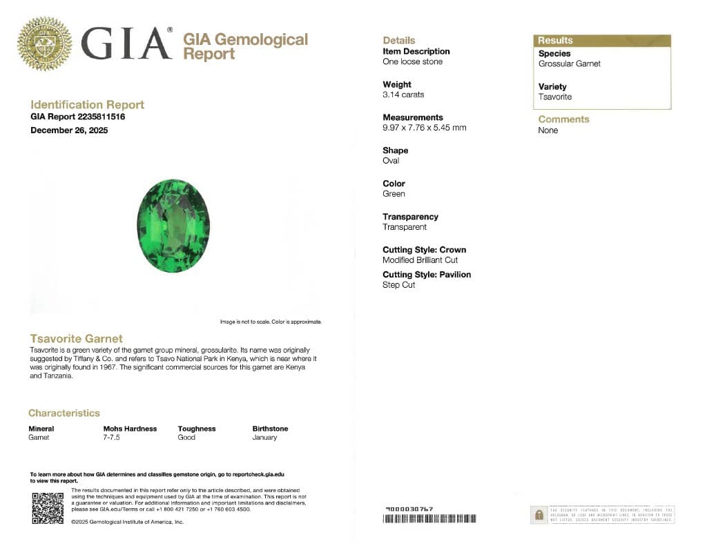 White Gold, 3.14ct Tsavorite Garnet and Tsavorite Garnet Ring
