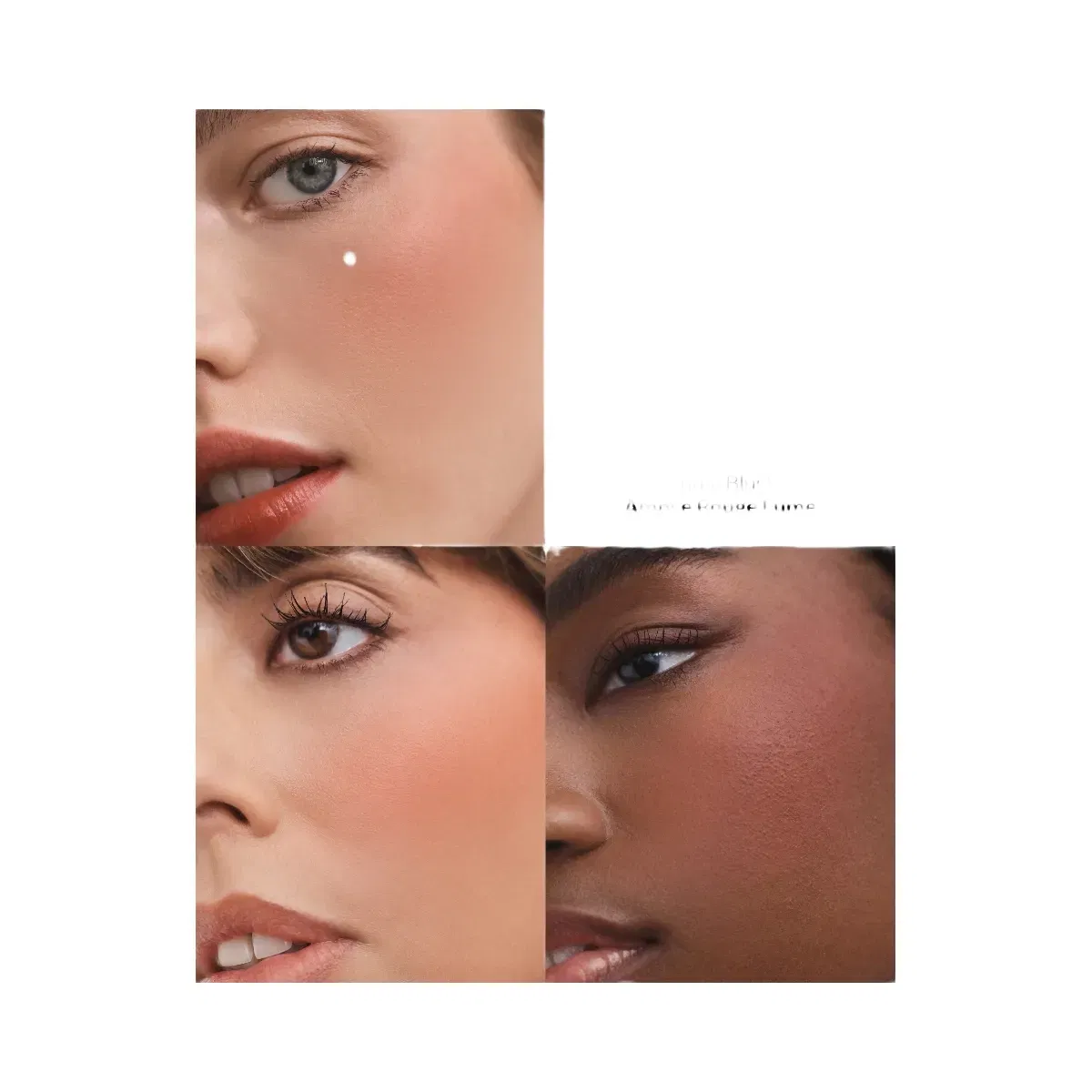 Violette_FR Plume Blush - Ambre Rouge Fume