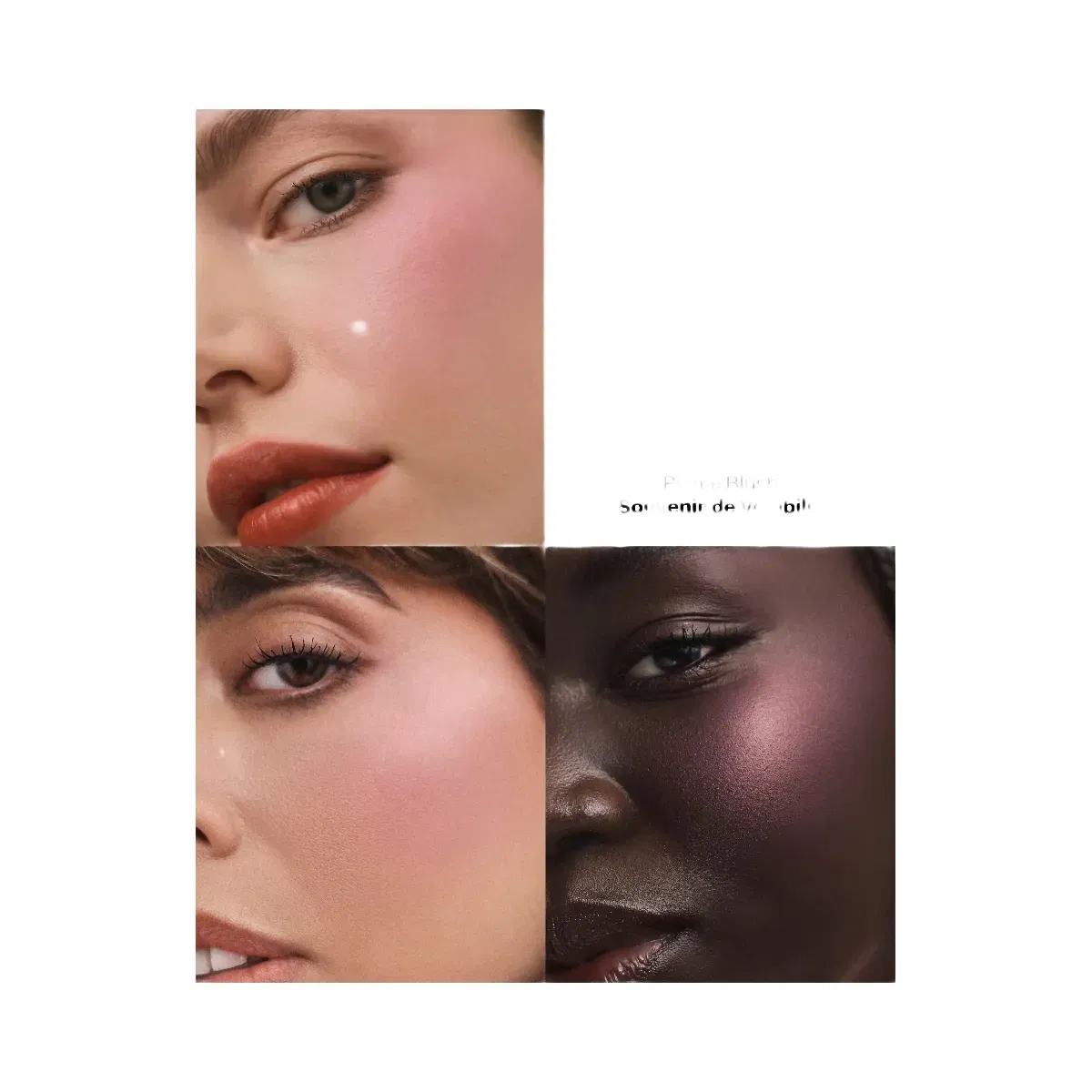 Violette_FR Plume Blush - Souvenir de Volubilis