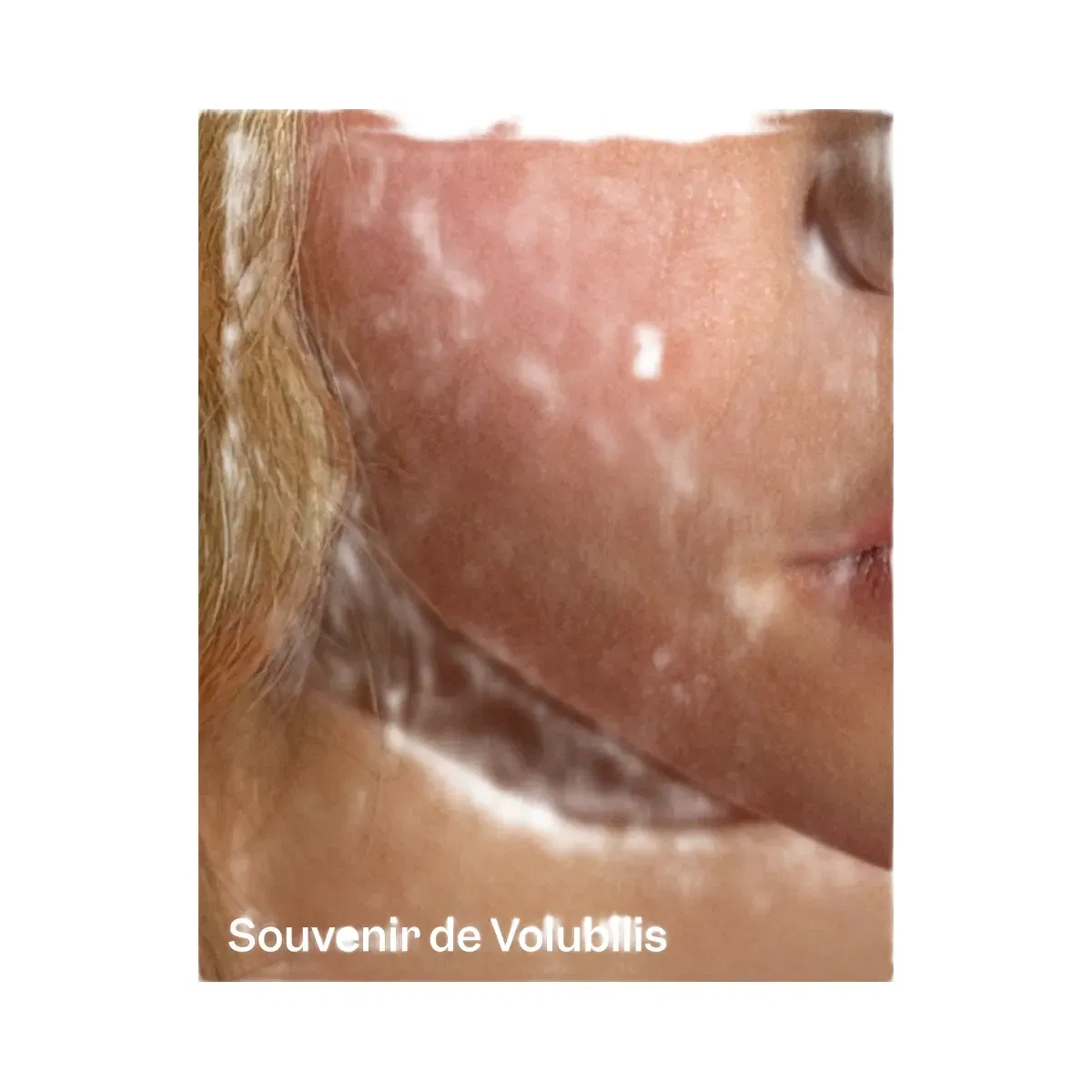 Violette_FR Plume Blush - Souvenir de Volubilis