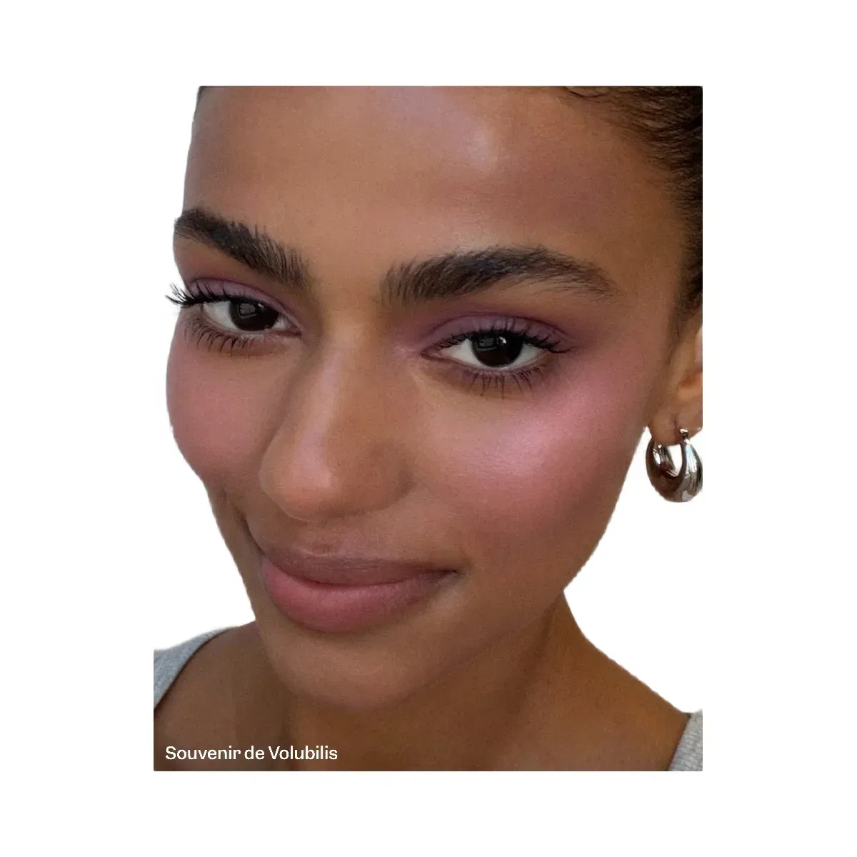 Violette_FR Plume Blush & Le Kabuki Duo