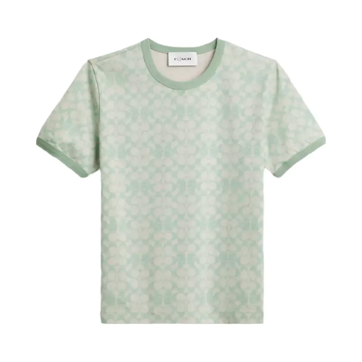 Coach x Brain Dead Signature Ringer T-Shirt in Mint