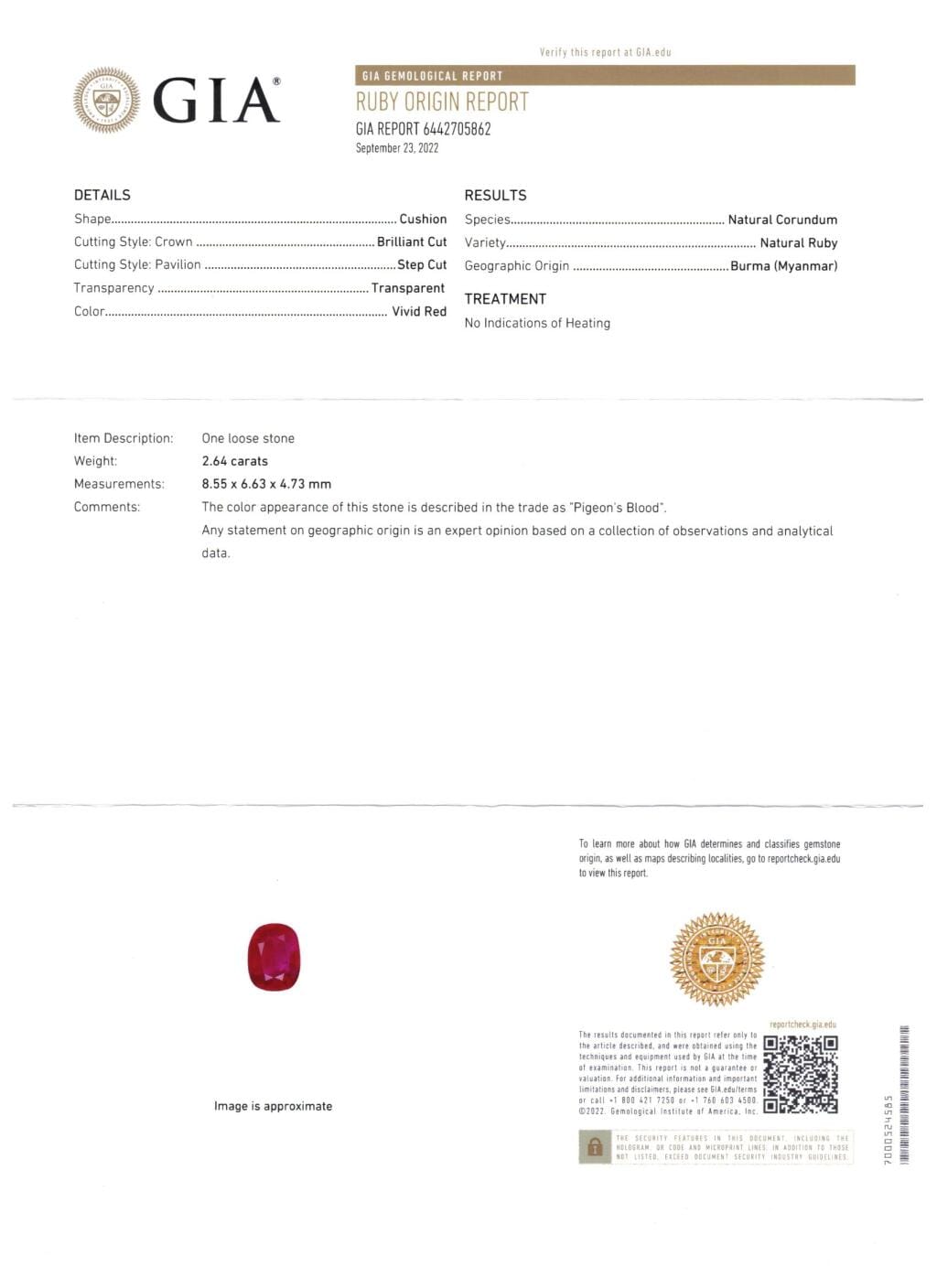 White Gold, 5.24ct Burmese Ruby, Ruby and Diamond Earrings