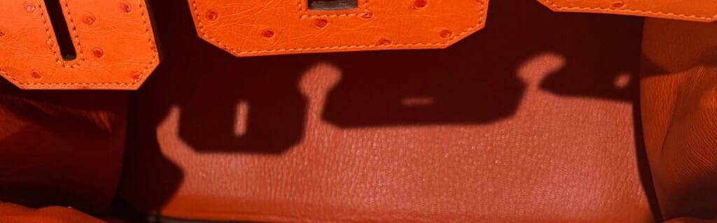 Tangerine Ostrich Birkin 30 Palladium Hardware, 2016