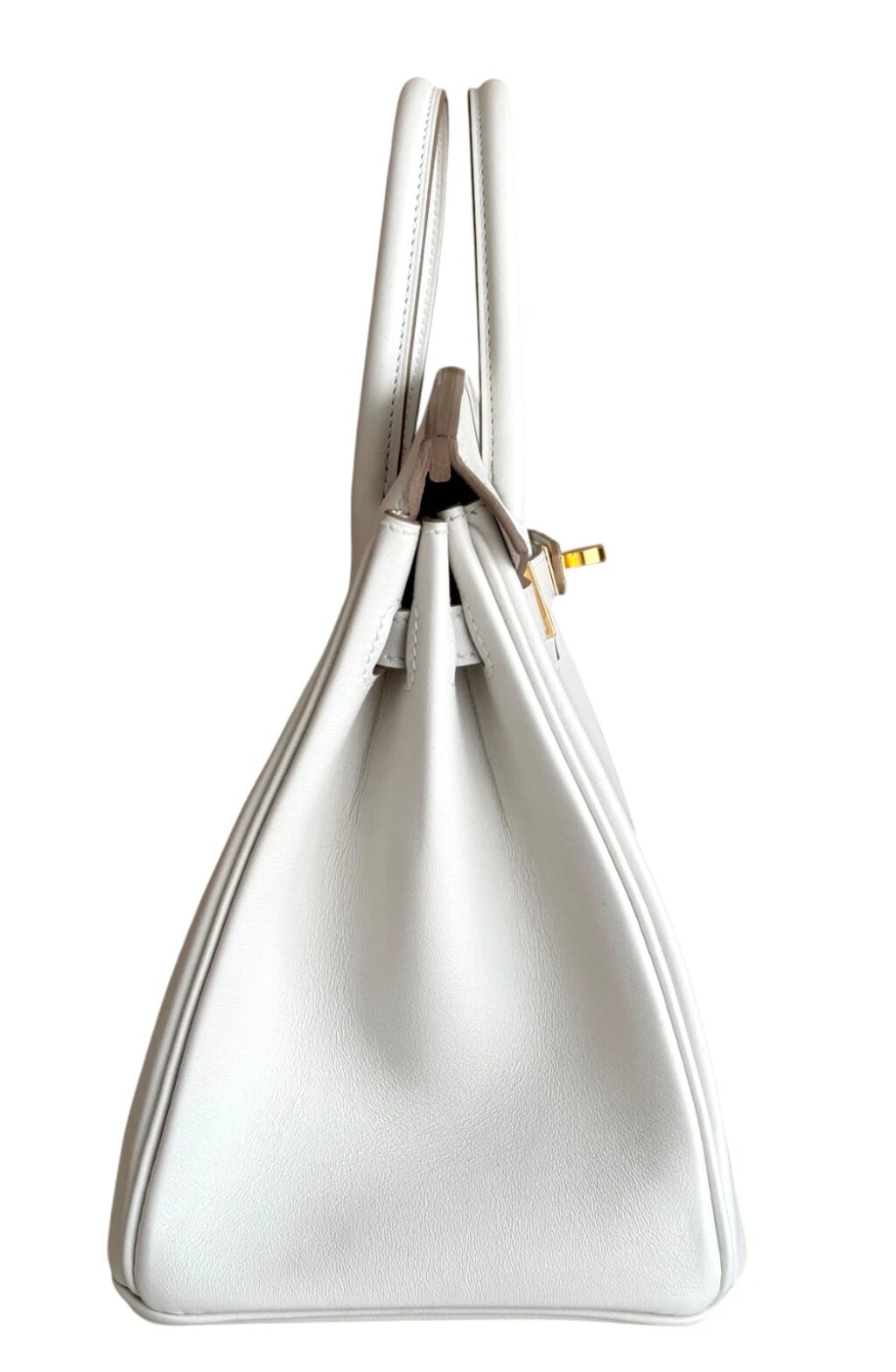Mushroom Swift Birkin 25 Gold Hardware, 2024