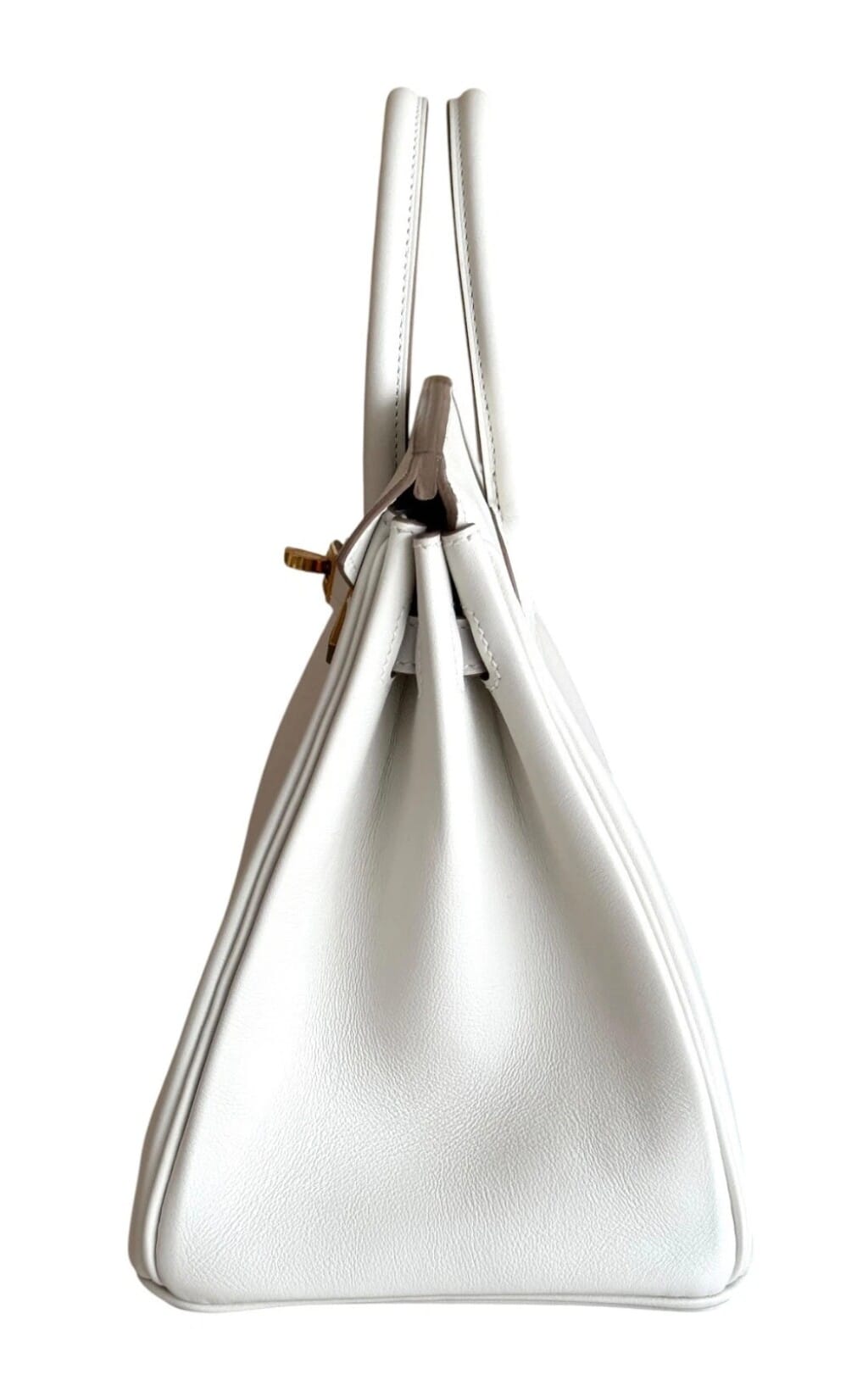 Mushroom Swift Birkin 25 Gold Hardware, 2024