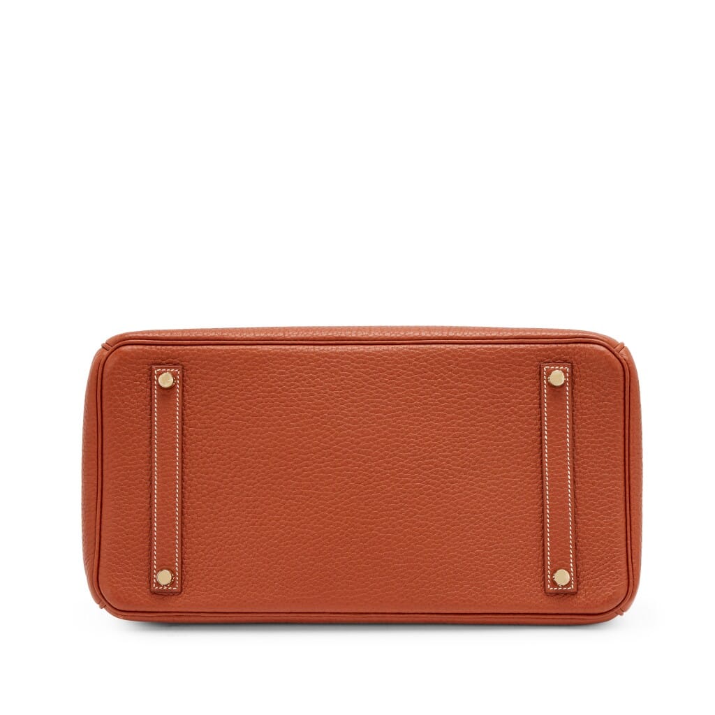 Etrusque Fjord Birkin 35 Gold Hardware, 2010