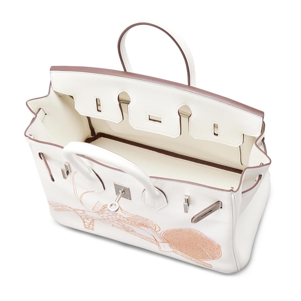 Limited Edition White Swift In and Out Birkin 25 Palladium Hardware, 2023