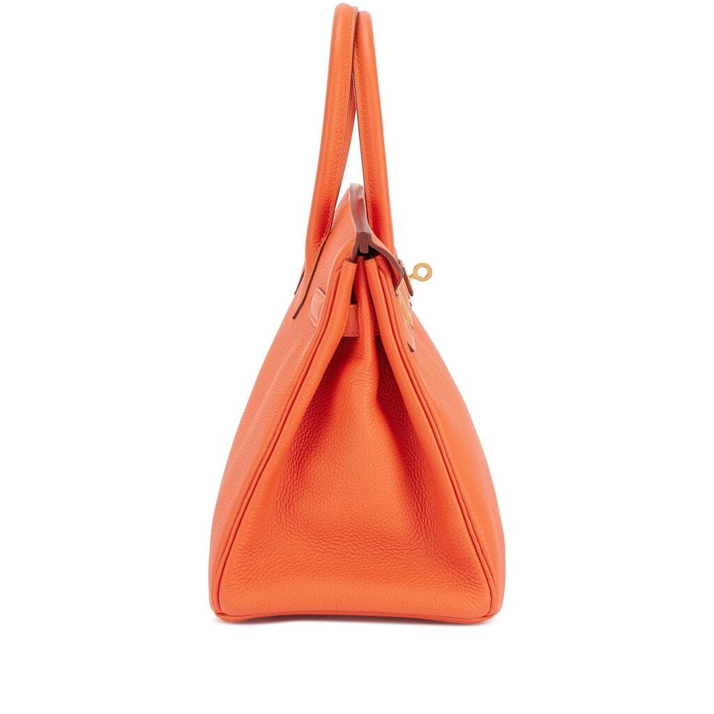 Feu Togo Birkin 30 Gold Hardware, 2015
