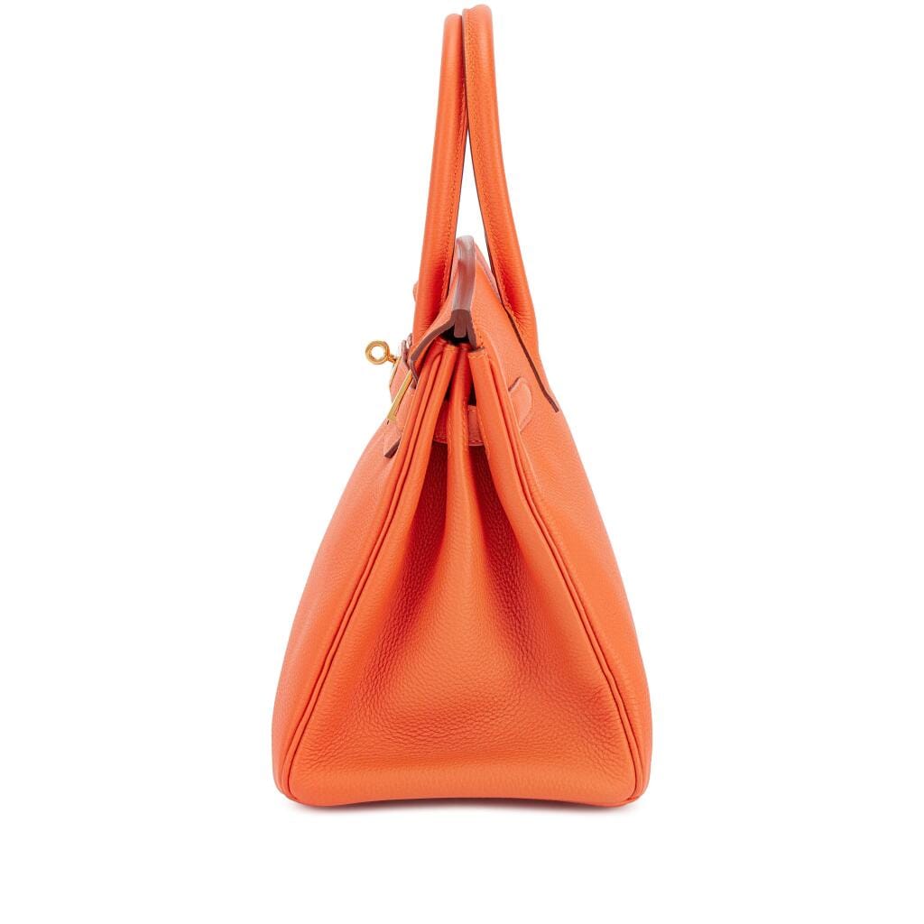 Feu Togo Birkin 30 Gold Hardware, 2015