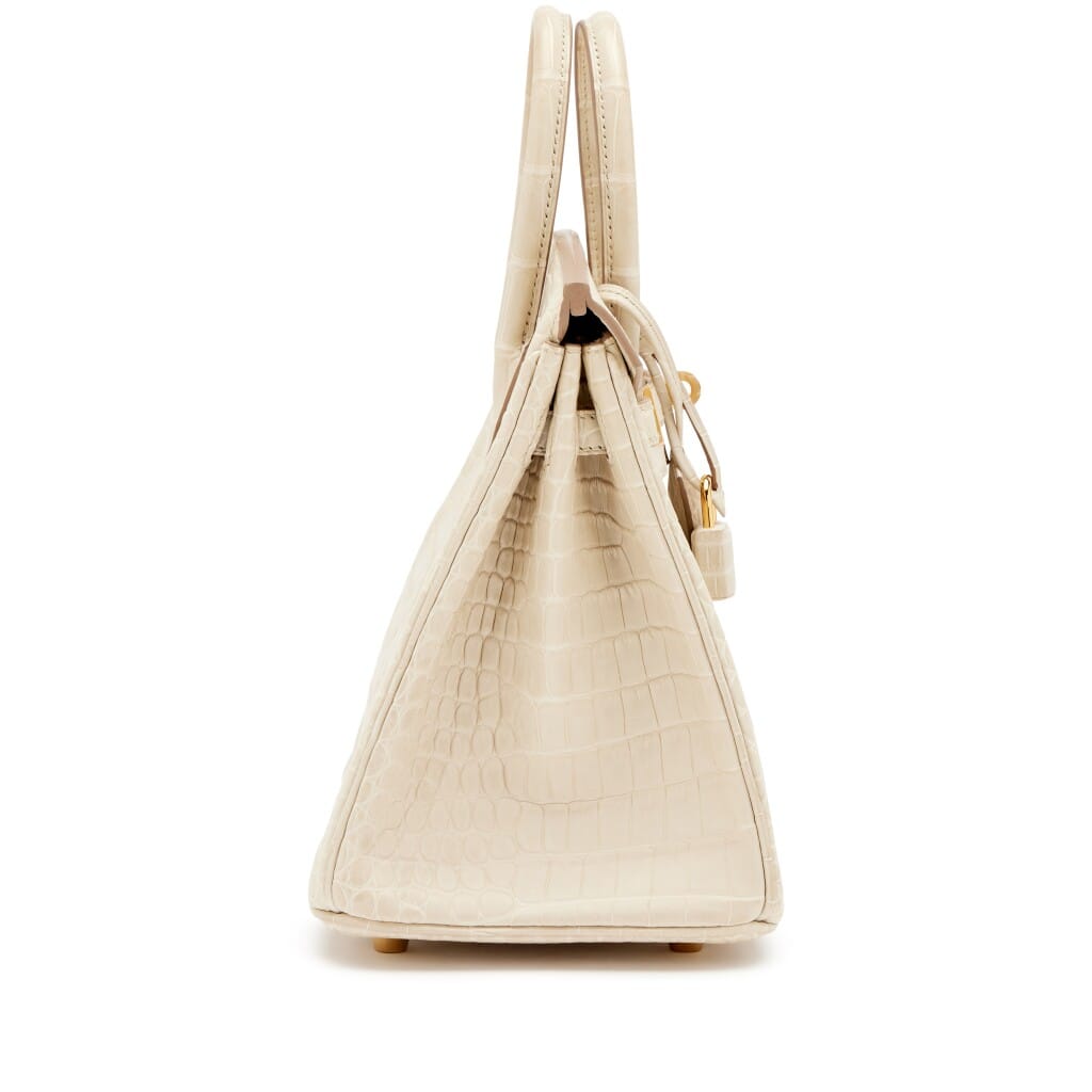 Beton Matte Porosus Crocodile Birkin 25 Gold Hardware, 2024