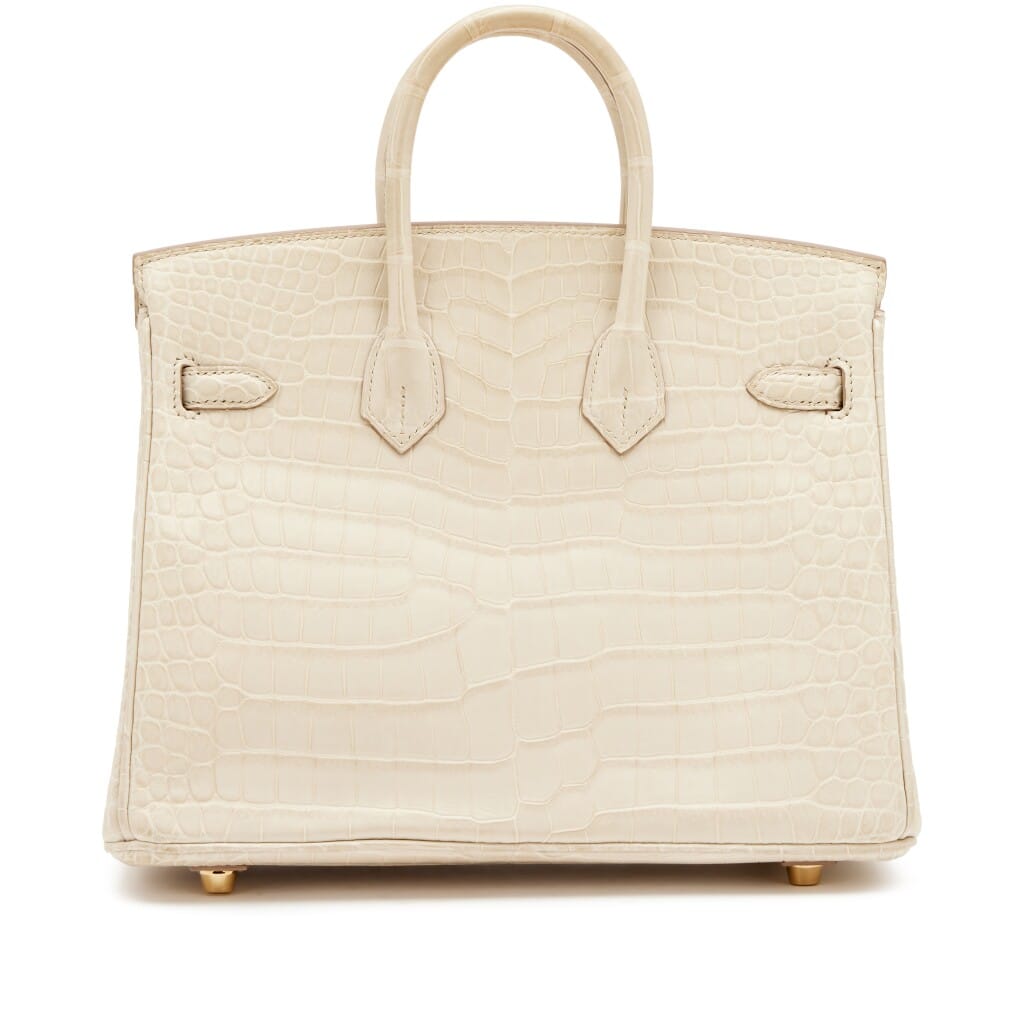 Beton Matte Porosus Crocodile Birkin 25 Gold Hardware, 2024