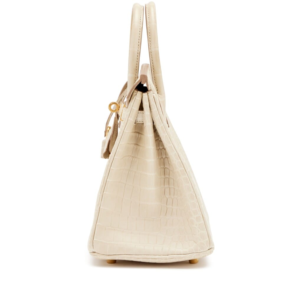Beton Matte Porosus Crocodile Birkin 25 Gold Hardware, 2024
