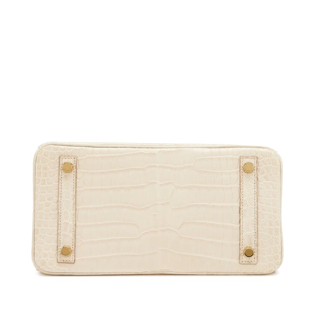 Beton Matte Porosus Crocodile Birkin 25 Gold Hardware, 2024