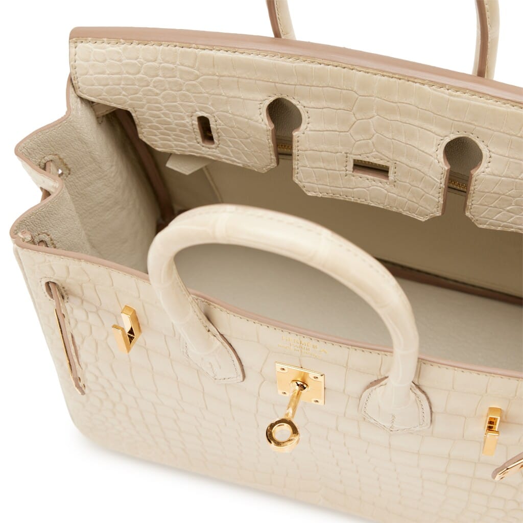 Beton Matte Porosus Crocodile Birkin 25 Gold Hardware, 2024