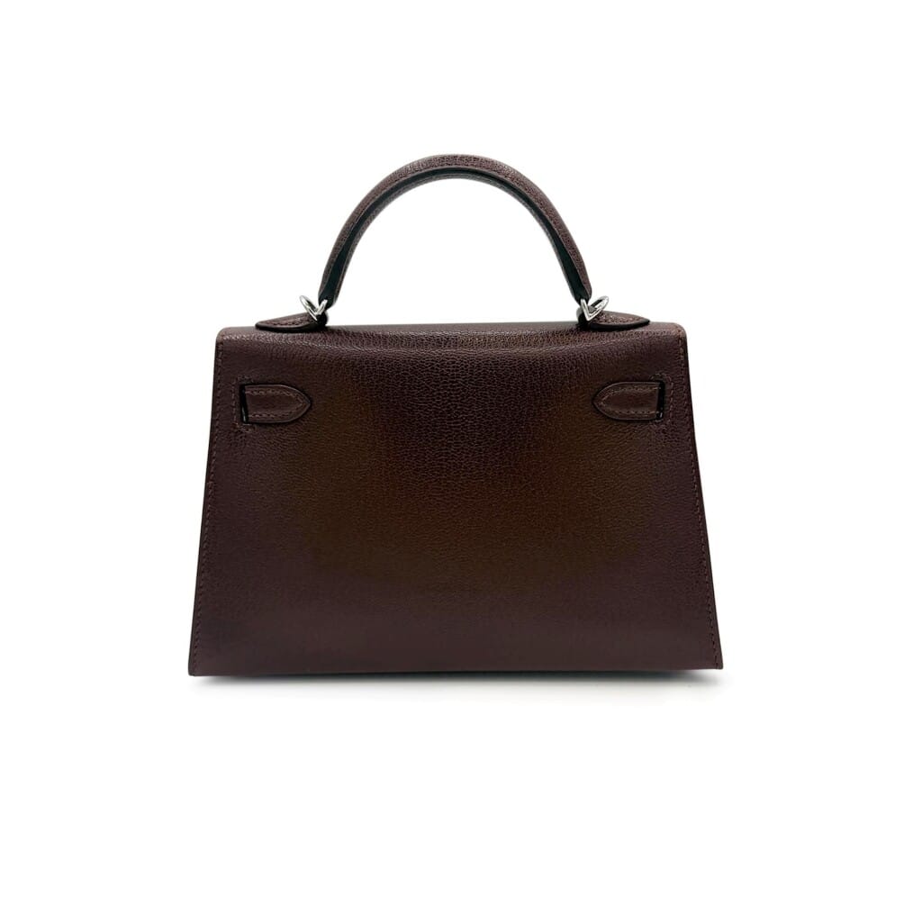 Limited Edition Terre Chèvre Chamkila Atouts Mini Kelly II 20 Palladium Hardware, 2026