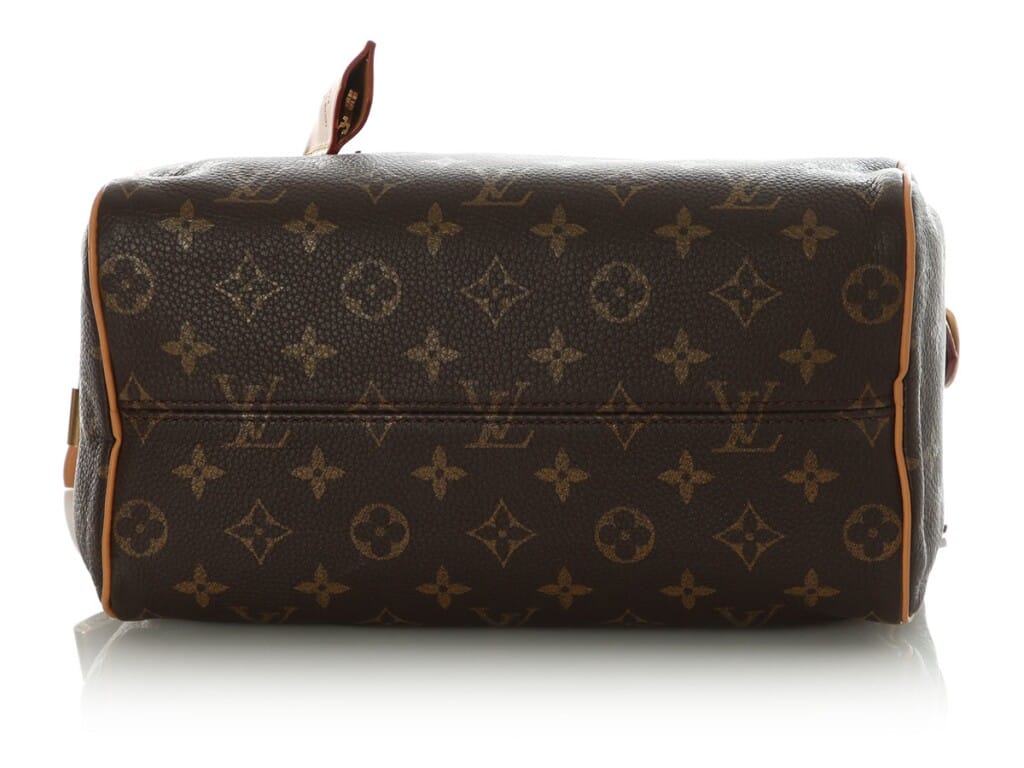 Brown Monogram Calfskin Speedy P9 Bandoulière 25 Gold Hardware, 2024