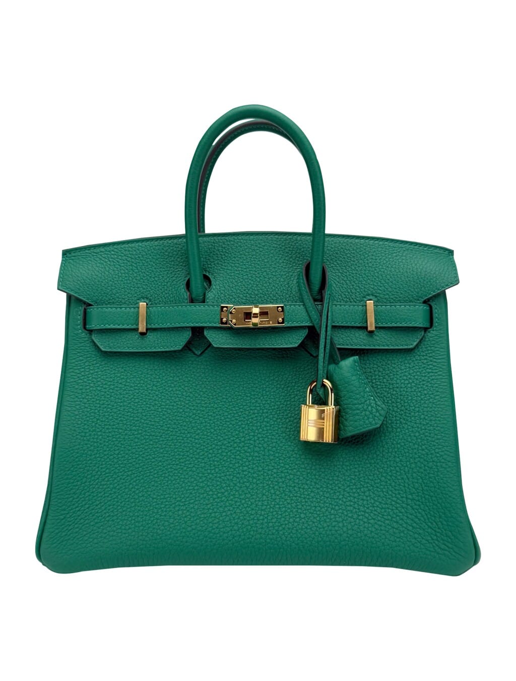 Vert Vertigo Togo Birkin 25 Gold Hardware, 2024