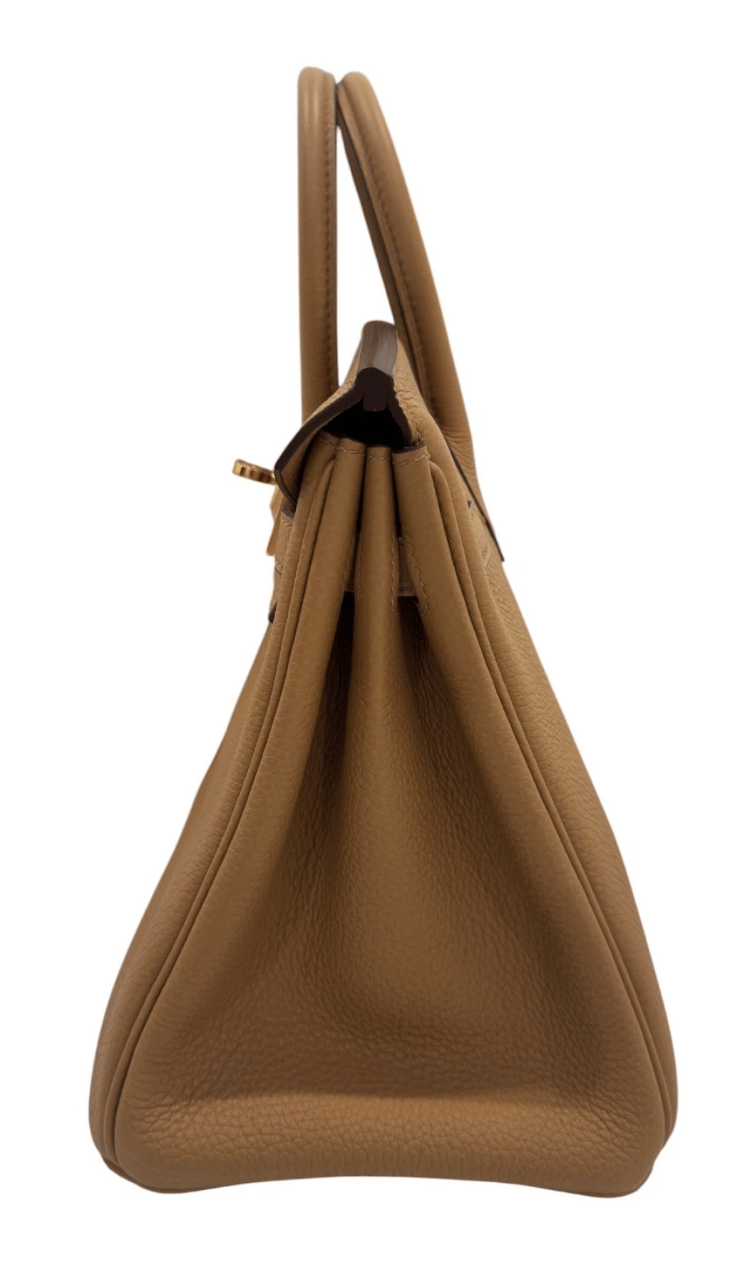Biscuit Togo Birkin 25 Gold Hardware, 2021