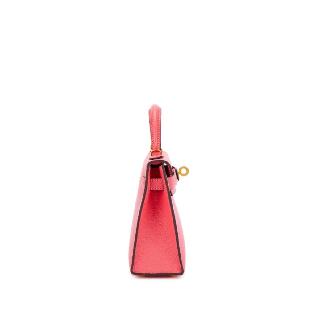 Rose Lipstick Chèvre Mysore Mini Kelly 20 II Gold Hardware, 2016