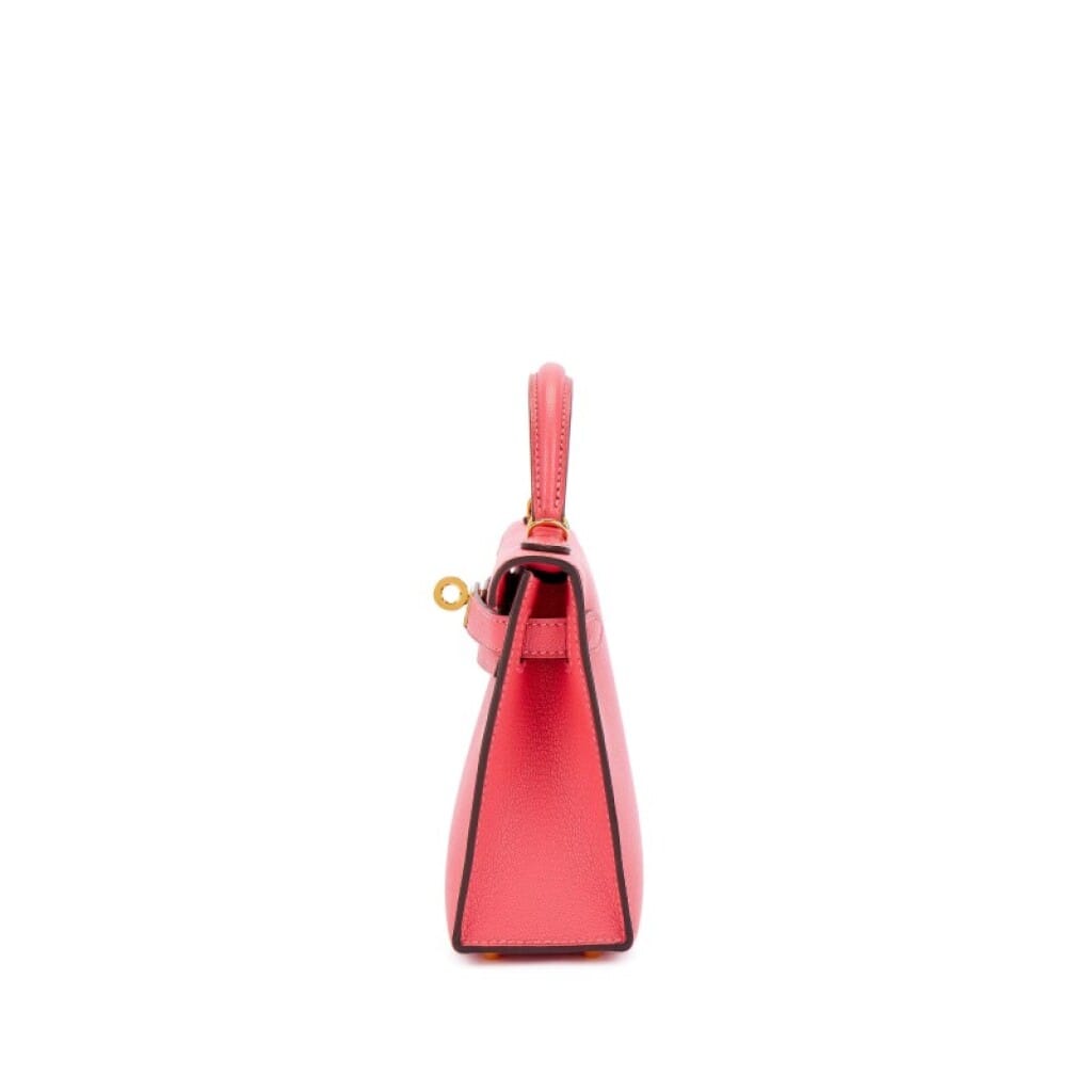 Rose Lipstick Chèvre Mysore Mini Kelly 20 II Gold Hardware, 2016