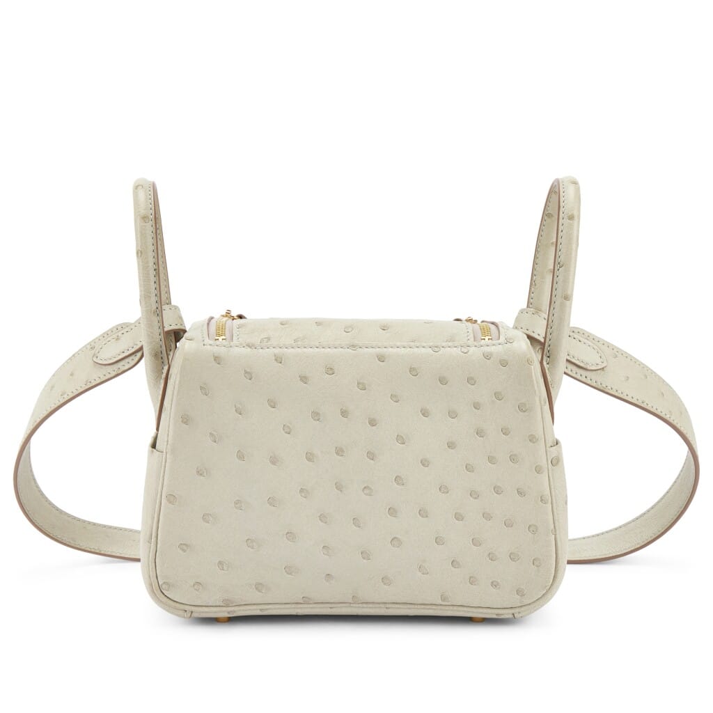 Gris Perle Ostrich Mini Lindy 20 Gold Hardware, 2021