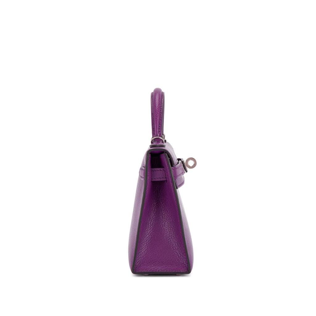 Anemone Chèvre Mini Kelly II 20 Palladium Hardware, 2021