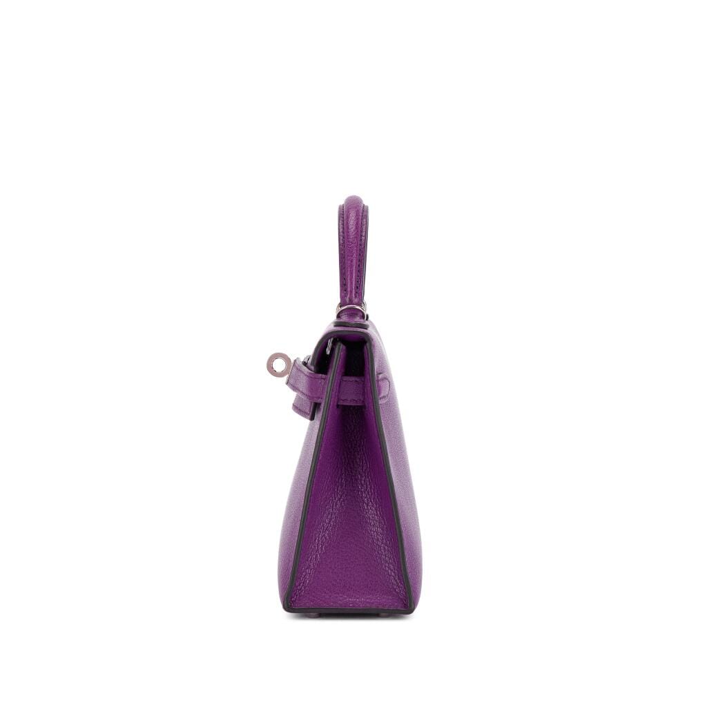 Anemone Chèvre Mini Kelly II 20 Palladium Hardware, 2021