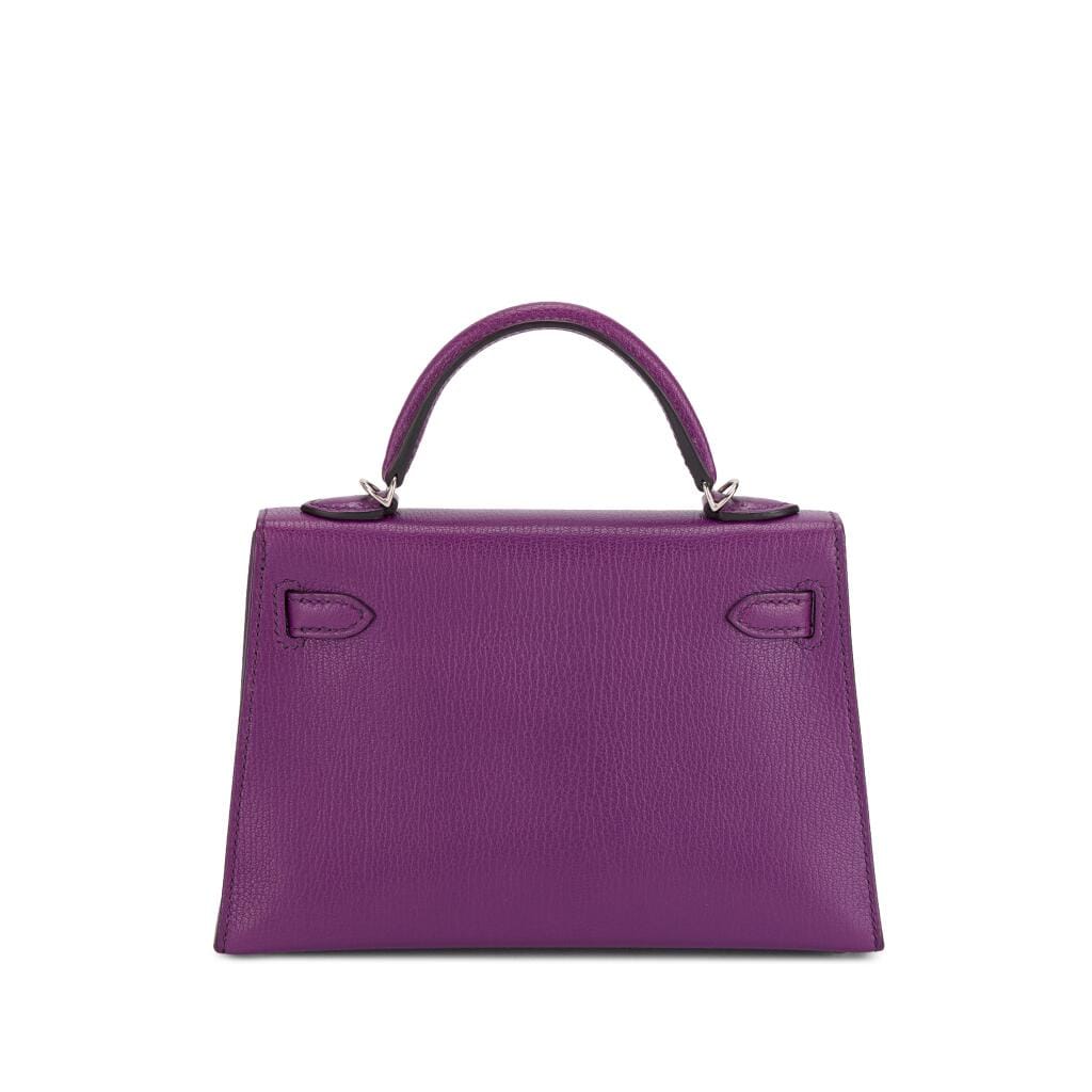 Anemone Chèvre Mini Kelly II 20 Palladium Hardware, 2021