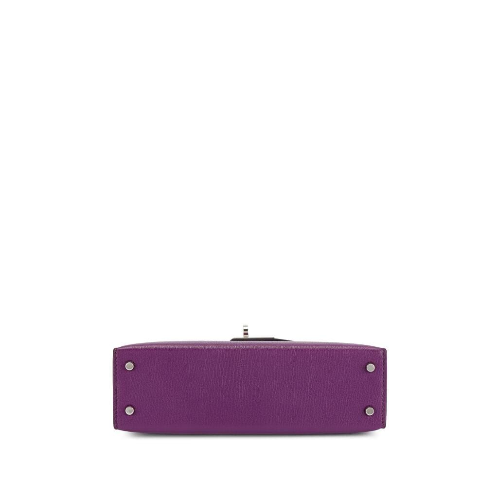Anemone Chèvre Mini Kelly II 20 Palladium Hardware, 2021