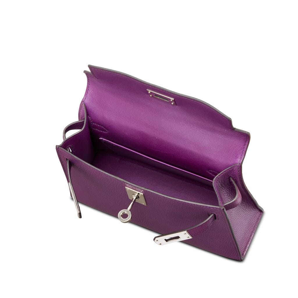 Anemone Chèvre Mini Kelly II 20 Palladium Hardware, 2021