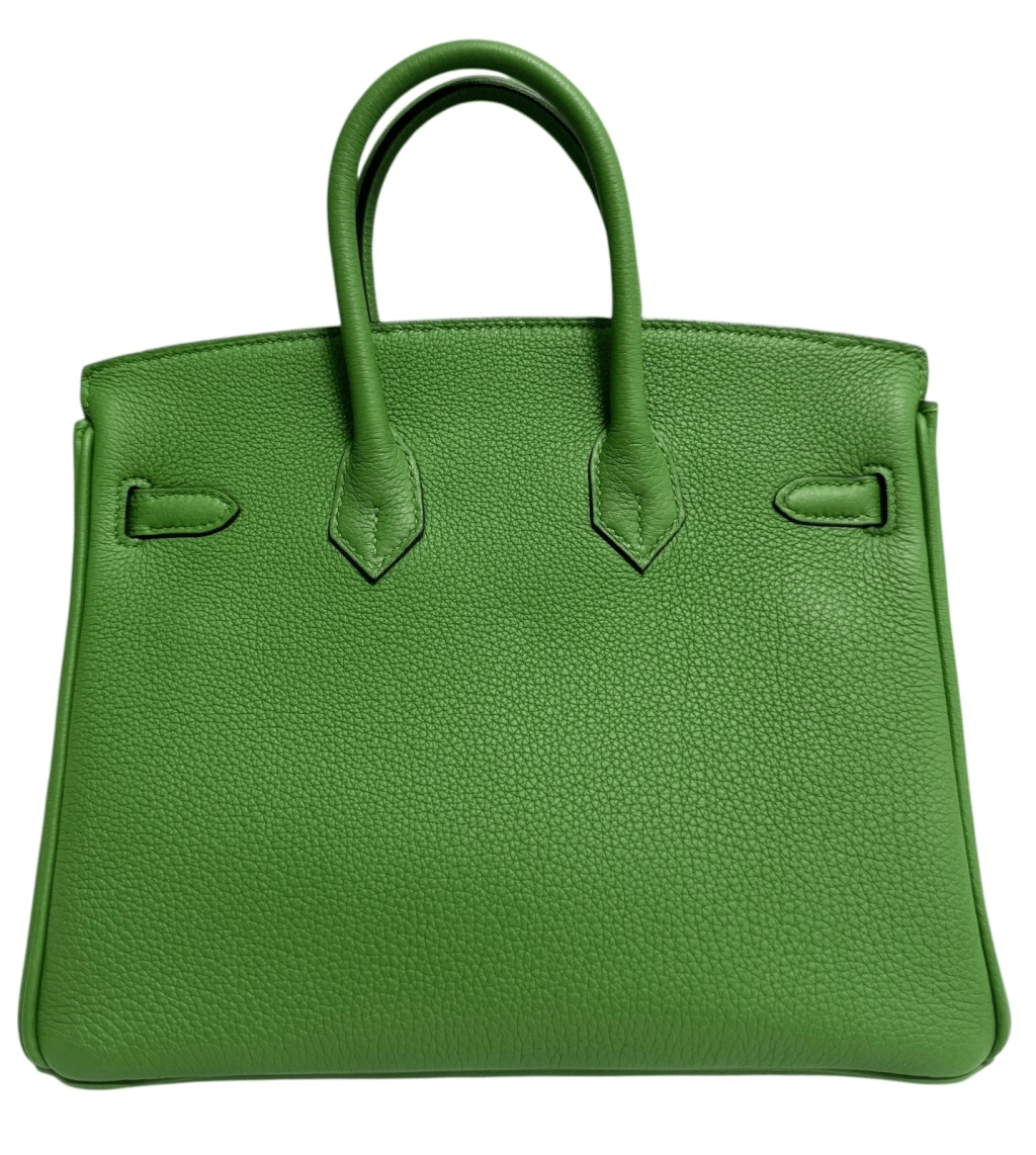 Vert Yucca Togo Leather Birkin 25 Palladium Hardware, 2024